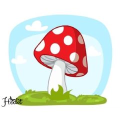 Huby nažehľovacia nálepka