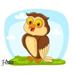 Vzor sovy nažehľovacia nálepka
