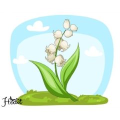 Konvalinka nažehľovacia nálepka